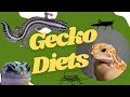 ตุ๊กแกหางอ้วนกินอะไร?! Fat Tailed Gecko Diets