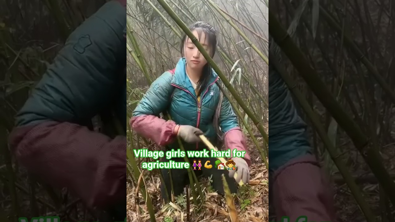 Village girls work hard for agriculture 👭💪🏡🧑‍🌾 