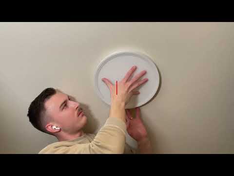 Quaser 12 inch
