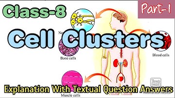 Class-8 | Basic Science | Cell Clusters | Part-1 | Unit-2 | State Syllabus