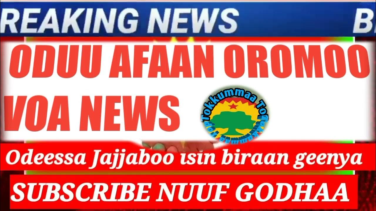 Oduu Ammee Afaan Oromoo Voa News Youtube