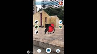 Metaverso Biodiverso: Experiencia estudio fotográfico con aves (AR) screenshot 4