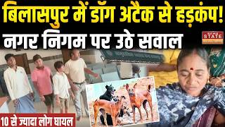 CG News: Bilaspur में आवारा कुत्तों का आतंक!,10 से ज्यादा लोग घायल | Stray Dog Attack |Dog Bite Case