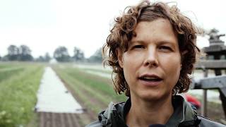 Expedition Biosommergemüse - Die Geschmacksvielfalt Von Biogemüse