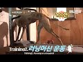 "나는 아직 배고프다.." 우사인볼트를 꿈꾸는 개ㅣA dog dreaming to be a runner like Usain Bolt?