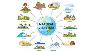 Neighborhood Teams Field Manual