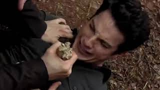 Klaus Seven Nation Army