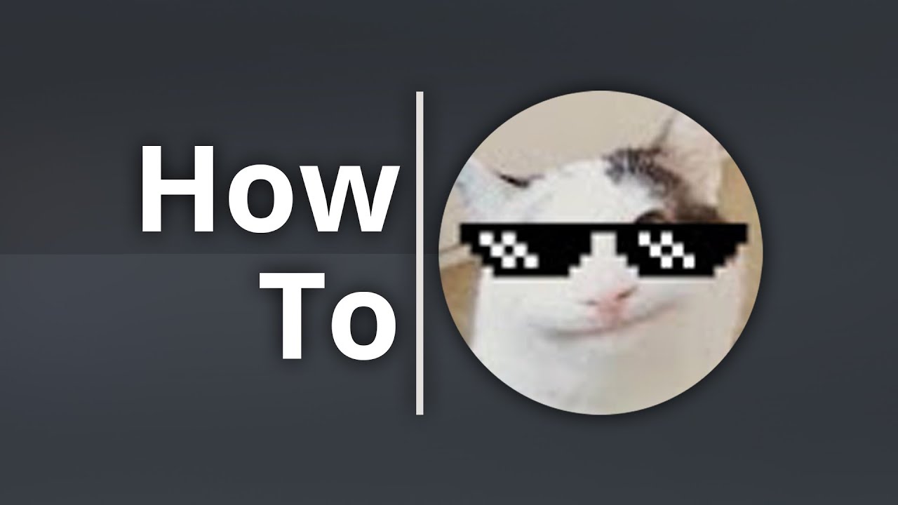 How to make a Beluga Discord Video 