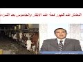 التعامل عند ظهور كحة عند الابقار والجاموس بعد الشراء