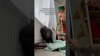 мой инстаграм MOLUZELA