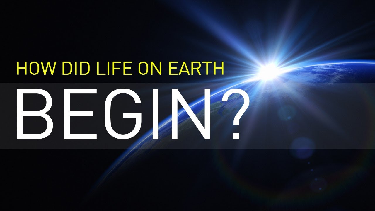 How Did Life On Earth Begin? - YouTube