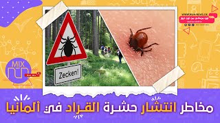 في المانيا Zecken خطر حشرة القراد