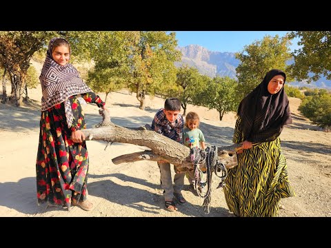 The Farm Without Eshaq But Filled With Joy And Teamwork