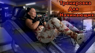 Интенсивная тренировка на ягодицы для новичков : Полный гид