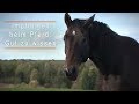 Video: Reines Konzentriertes Pferdetetanusserum - Gebrauchsanweisung