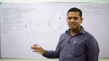 Asexual Reproduction in Paramecium - Binary Fission by Dr. Vikas CV