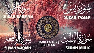 Surah Yaseen ♥️ Surah Rahman ♥️ Surah Mulk ♥️ Surah Waqiah Beautiful Voice ♥️ Heart Soothing