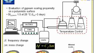 fouling quartz crystal microbalance