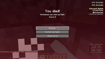 What 10hrs of Minecraft Speedrunning looks like.