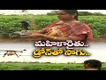 Woman Farmer Using Drone Jasmine Cultivation| Kaza |మల్లెల సాగులో డ్రోన్‌ వినియోగిస్తున్న రైతు