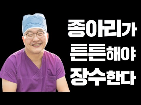 제2의 심장, 종아리 스트레칭 / <strong>가천대</strong> 길병원 정형외과 심재앙