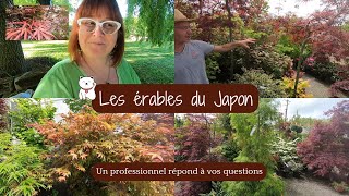 ERABLE DU JAPON 🍁 ENTRETIEN | Différentes VARIETES | Stéphane répond à toutes vos interrogations😉