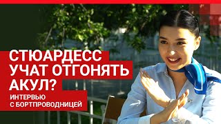 Неформальное интервью со стюардессой Рушаной Хожиматовой | 72.RU