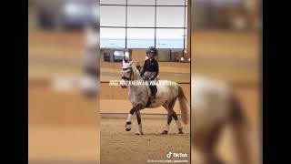 Harlow Luna White Tiktok Made By Xharlow..and..popcornx