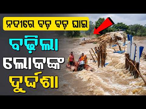 Odisha Flood Threat: River Embankment Breaches In Jajpur, Low Pressure On Aug 13 | Argus News