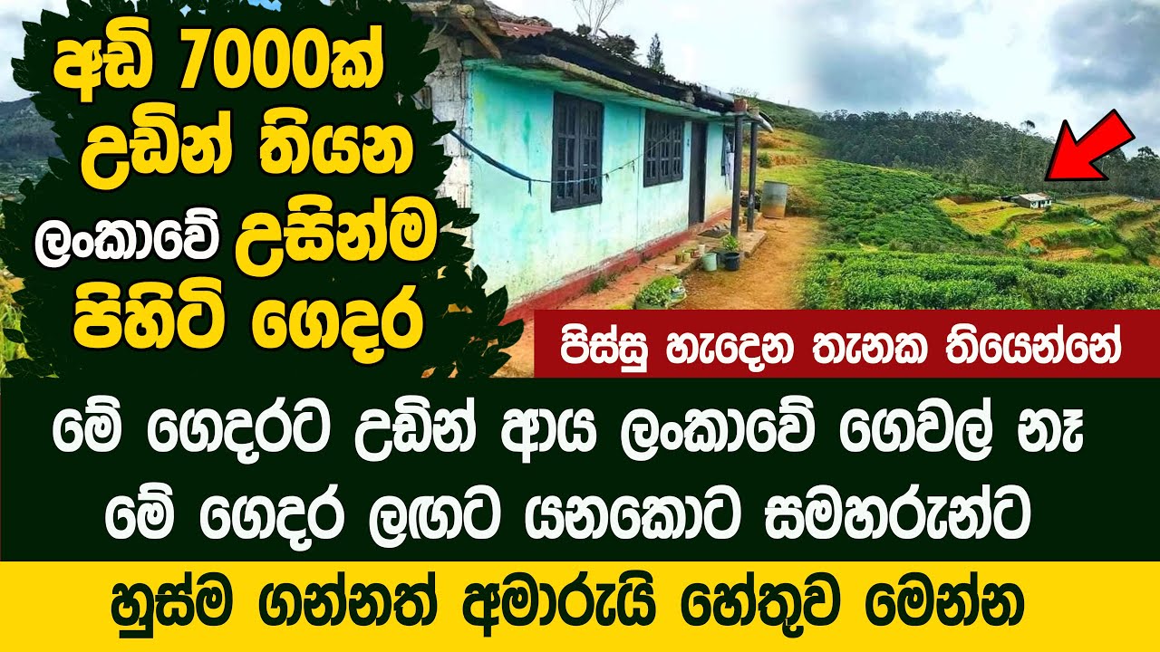 ලංකාවේ උසින්ම පිහිටි ගෙදර - අඩි 7000ක් උඩ The highest houses in Sri Lanka | Shanthipura