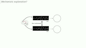 OHBM 2025 | Symposium | Zhen-Qi Liu |  Benchmarking methods for mapping functional connectivity in…