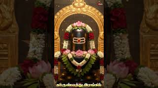 ஓம் நமசிவாய சிவன் பக்தி பாடல்கள் | ஆன்மிக சக்தி தரும் | Star Media