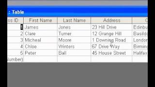 Microsoft Office Access 2003 View Subdatasheets