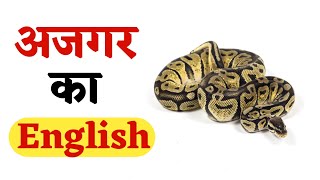 अजगर को इंग्लिश में क्या कहते हैं | Ajgar Ko English Mein Kya Kahate Hain | English Class