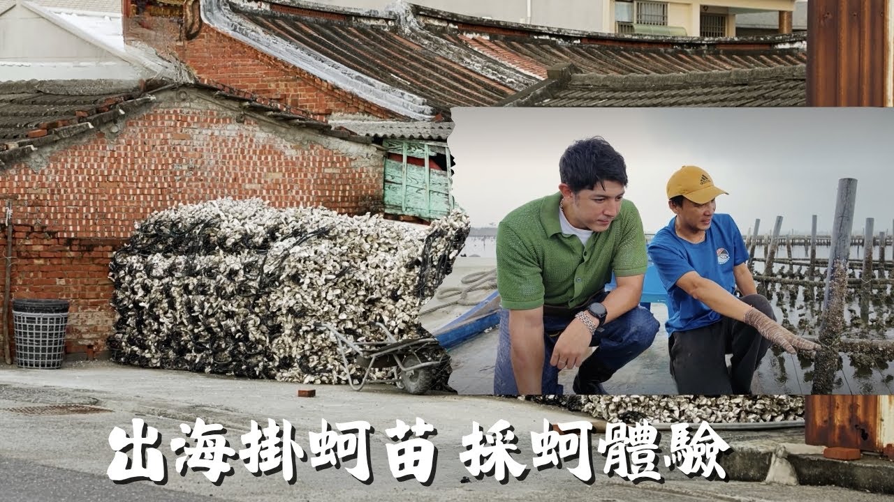 【臺南北門】EP44 part.1/4｜雙春濱海的黃金沙灘、紅樹林秘境🌿🚤出海體驗掛蚵苗、採蚵日常，感受漁村的真實節奏！🦪🌊｜Linking368Taiwan