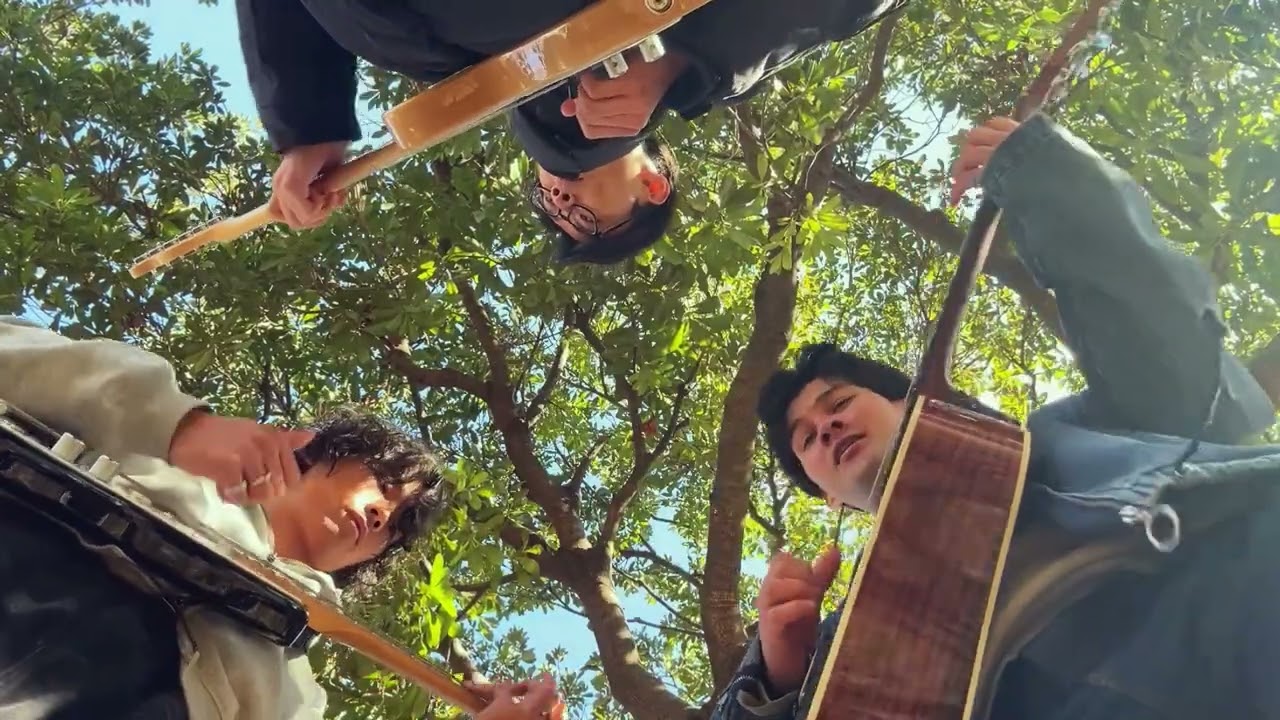 いつか (Someday) -山下達郎 アコースティックカバー