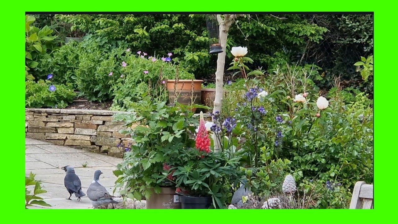 AMAZING SONG/ MAGICAL CAROUSEL RIDE BY MARTIN KLEM