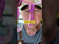 Chameleon changeable for fishing and bait making #fishing #fish #bass #crappie