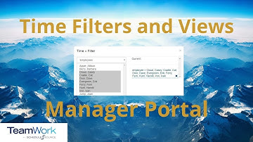 TeamWork 5 Manager Tutorial: How to Add and Delete Time Filters and Views