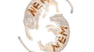 Speedpaint Tigers by NEMPHIL