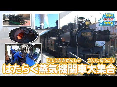 のりもの図鑑】はたらく蒸気機関車大集合（はたらくのりもの｜じょうき