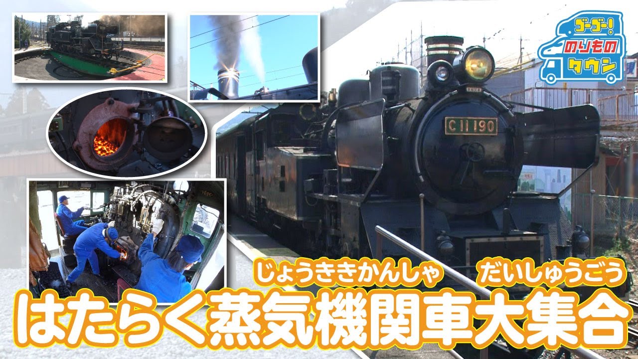 25分 のりもの図鑑 はたらく蒸気機関車大集合 Youtube