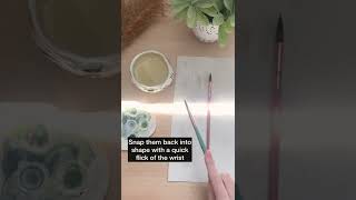 How to care for your paint brushes