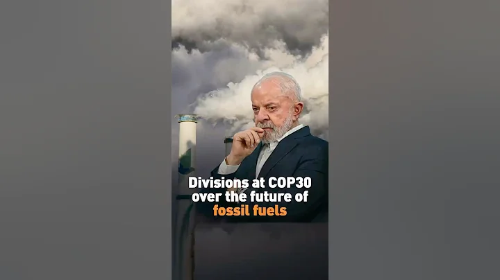 Divisions at COP30 over the future of fossil fuels