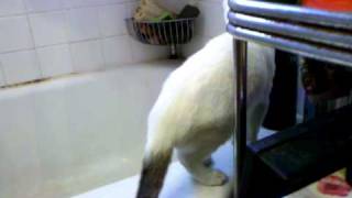 VID_20101109_084312.3gp