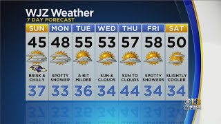 Meg McNamara Has Your Updated Forecast