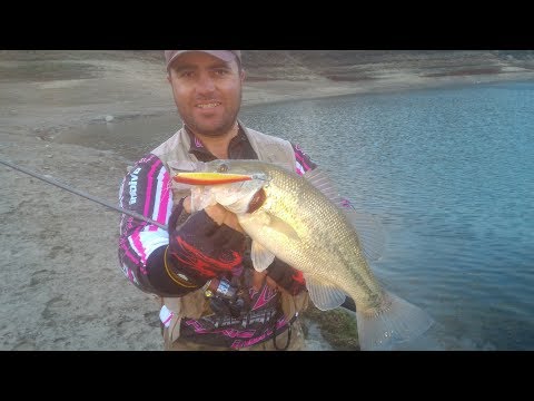 დიდიპირა ბასი კვიპროსზე.