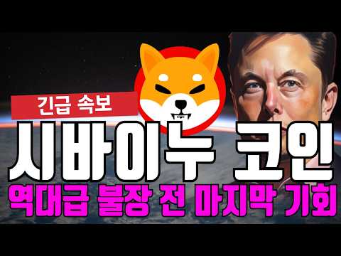 시바이누 코인 역대급 불장 전 마지막 기회