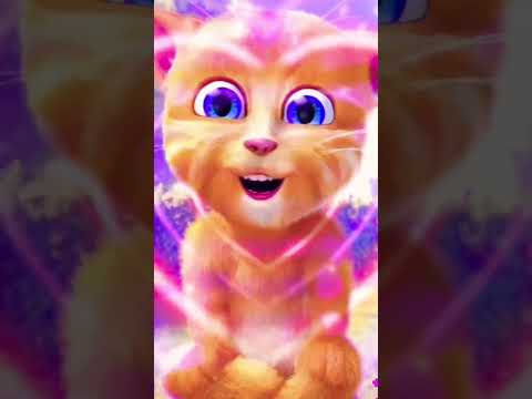 Ginger Cat With Effects
