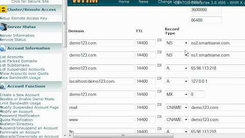 micfo | how to manage DNS zones in WebHostManager (WHM)